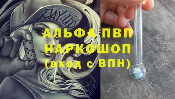 тгк Алзамай
