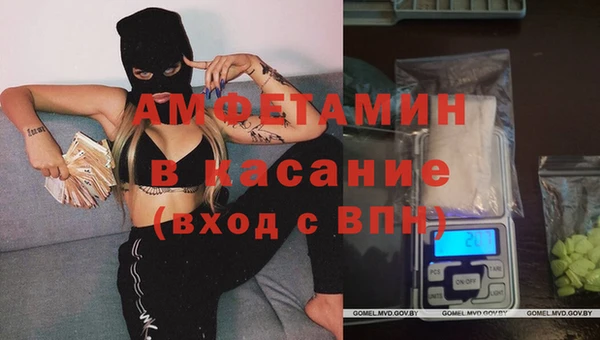 тгк Алзамай