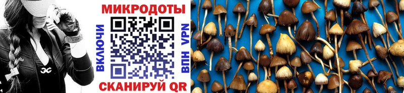 Псилоцибиновые грибы мицелий  даркнет сайт  Конаково 