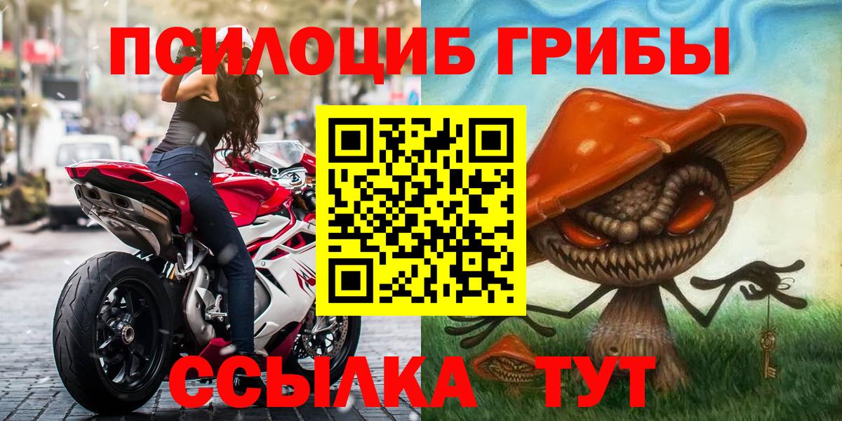 Галлюциногенные грибы Psilocybe Конаково