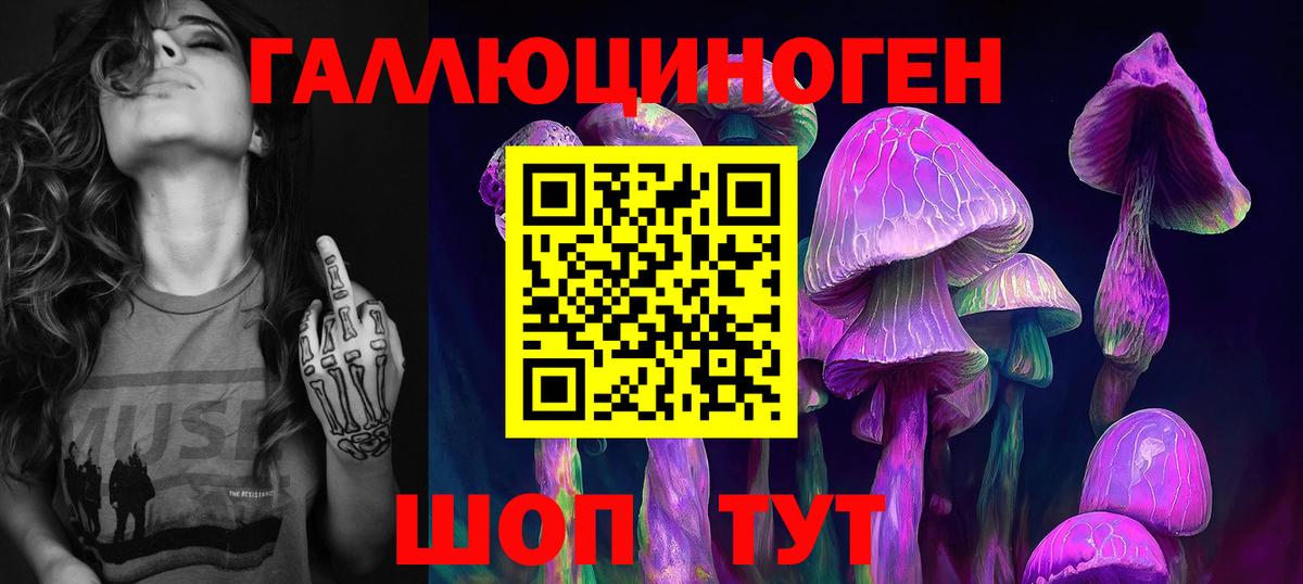 Псилоцибиновые грибы GOLDEN TEACHER  Псилоцибиновые грибы прущие грибы  Вход с VPN  Конаково 